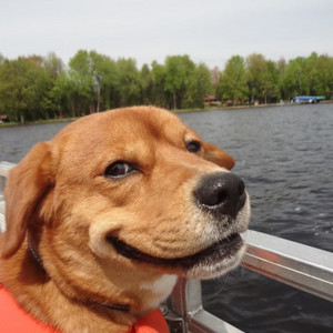 369Na - Эй богда, я здесь