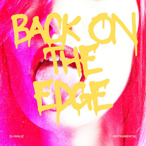 Back On The Edge (Instrumental House) by DJ Waliz