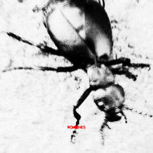 Roaches by Milo Korbenski