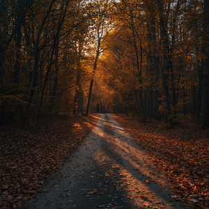 Enchanted Echoes by MALALEIPA
