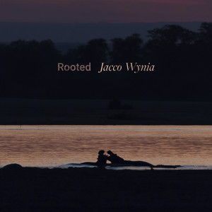 Rooted by Jacco Wynia