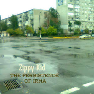 The Persistence of Irma