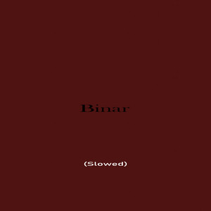 Binar - Slowed by Autor Lina