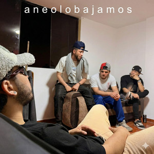 aneolobajamos by NADIE