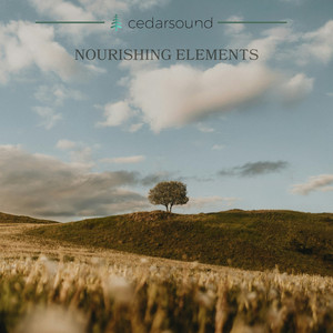 Nourishing Elements by Cedarsound