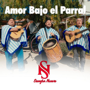 Sangre Nueva - Amor Bajo el Parral (Radio Edit)