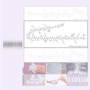 Portada de ENDORPHINS
