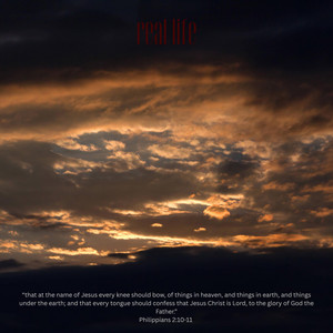 Vessel1309 - real life