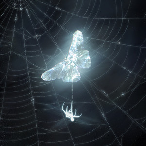 Shaaydi — fantasy (2026)