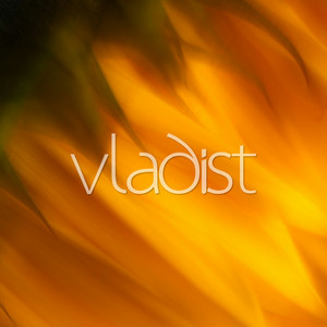 Seeing Sounds by Vladist