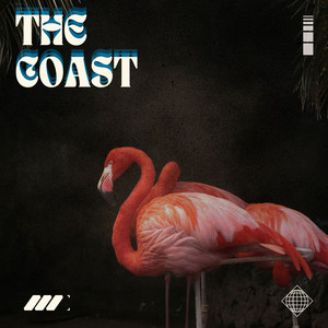 Flamingoes by Codou