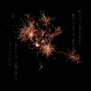 花火の破片 by zoo zoo sea