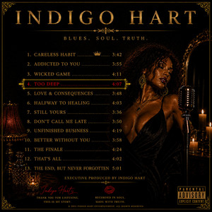 TOO DEEP : THE LOVE I SEEK : BLUES/R&B/SOUL/LOVE STORY by INDIGO HART