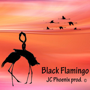 Black Flamingo by JC Phoenix