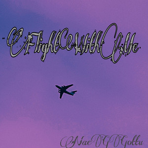 Portada de FlightWithMe