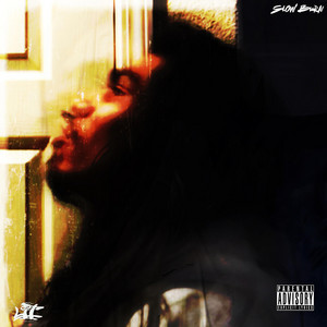 Portada de slow burn