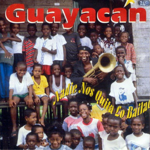 Nadie Nos Quita Lo Bailao cover