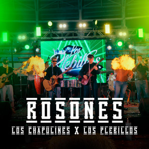 los chapulines nb - Rosones (EN VIVO)