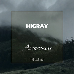 HIGRAY — Awareness (110 soul mix)