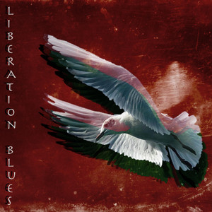 Liberation Blues by The Dead Reds