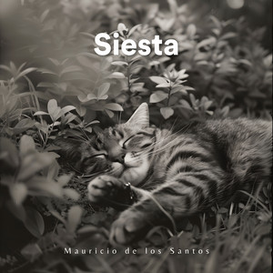 Siesta by Mauricio de los Santos