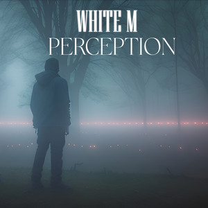 Portada de Perception