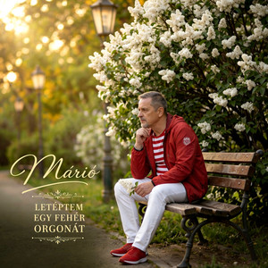 Letéptem egy fehér orgonát by Márió a harmonikás