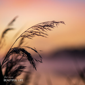 for now by Beautiful Life