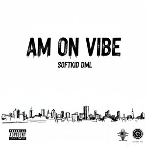 Am on Vibe