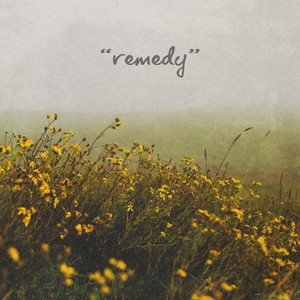 Remedy by TILLR