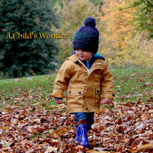 A Child's Wonder by Roger Nick