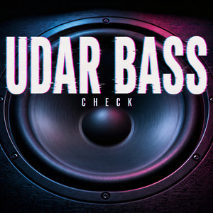 UDAR BASS CHECK by YHK Sound