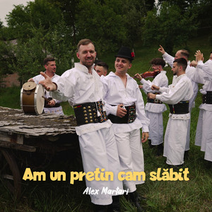 Alex Martari - Am Un Pretin Cam Slăbit