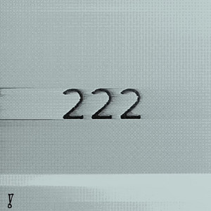#222