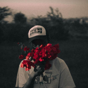 PIXAIM - NO LOVER