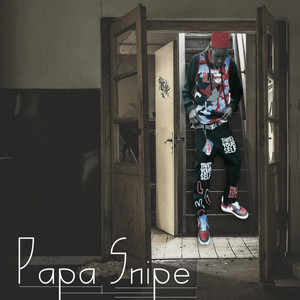 Kitty Kat (Girls Girls) - Single by Papa Snipe | Spotify