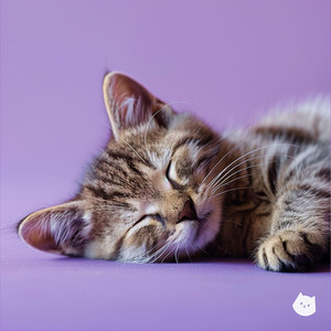 Softie by Purry