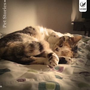 Zen Purring by One Million Flowers, kBeats