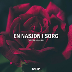 En Nasjon I Sorg (Til Minne Om 22. Juli)