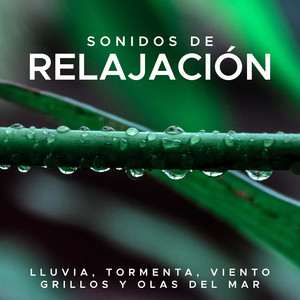 Relajación - Ejercicios de Relajación