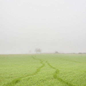 distance by asystole