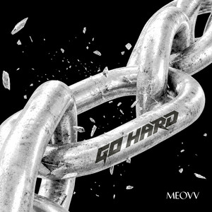 Indestructible by MEOVV