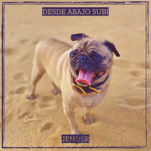 Desde Abajo Subi by jender