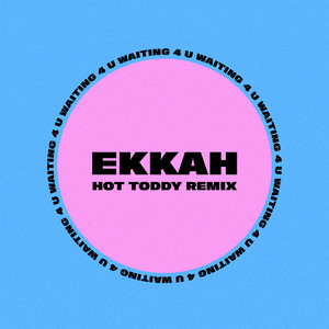 Waiting 4 You (Hot Toddy Remix)