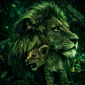MIO PADRE E' ANCORA GIOVANE by RXX