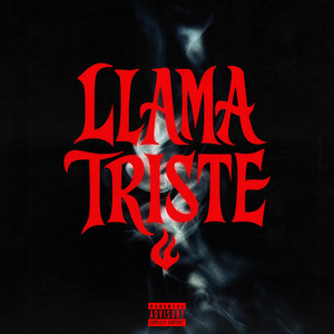 Llama Triste by CayetanaViLL