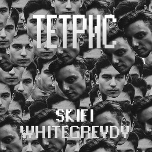 SkiFi cover