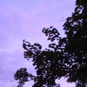 alone