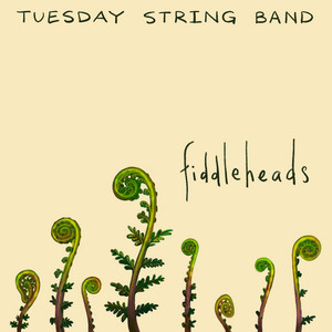 Soldier's Joy > Whiskey Before Breakfast by Tuesday String Band