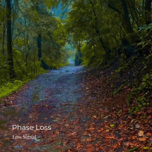 Phase Loss by Low Signal